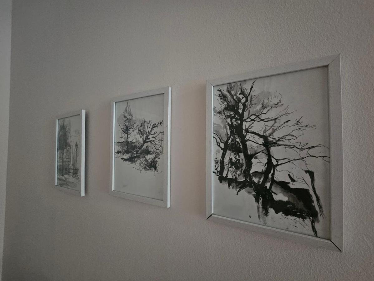Apartman Zeljko 모스타르 외부 사진